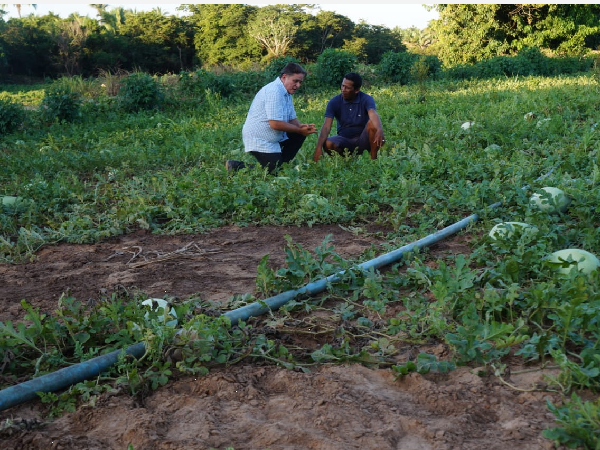 Secretário Lívio Maia acompanha produção da agricultura de vazante no Povoado Santa Maria dos Ricardos